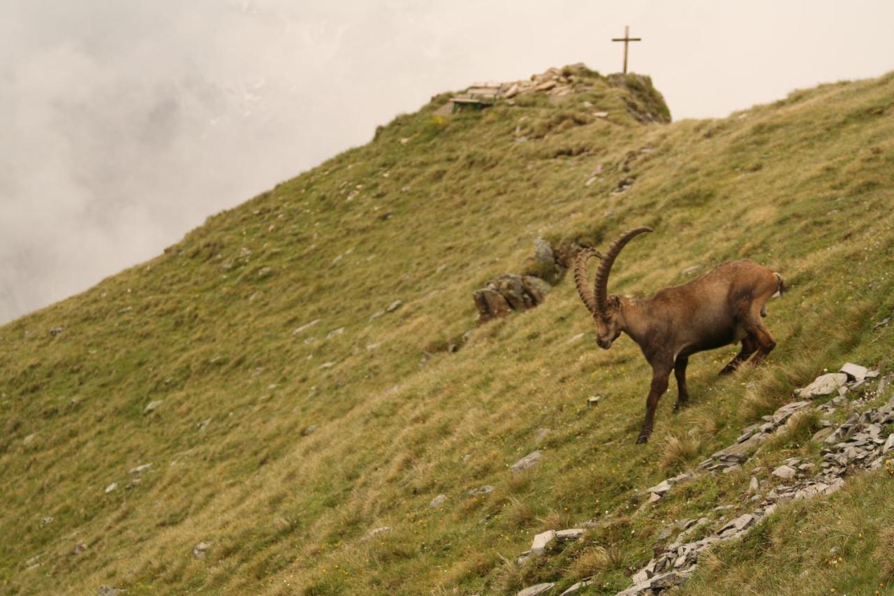 Bei Max - Garni Kirchenwirt Pensjonat St. Leonhard im Pitztal